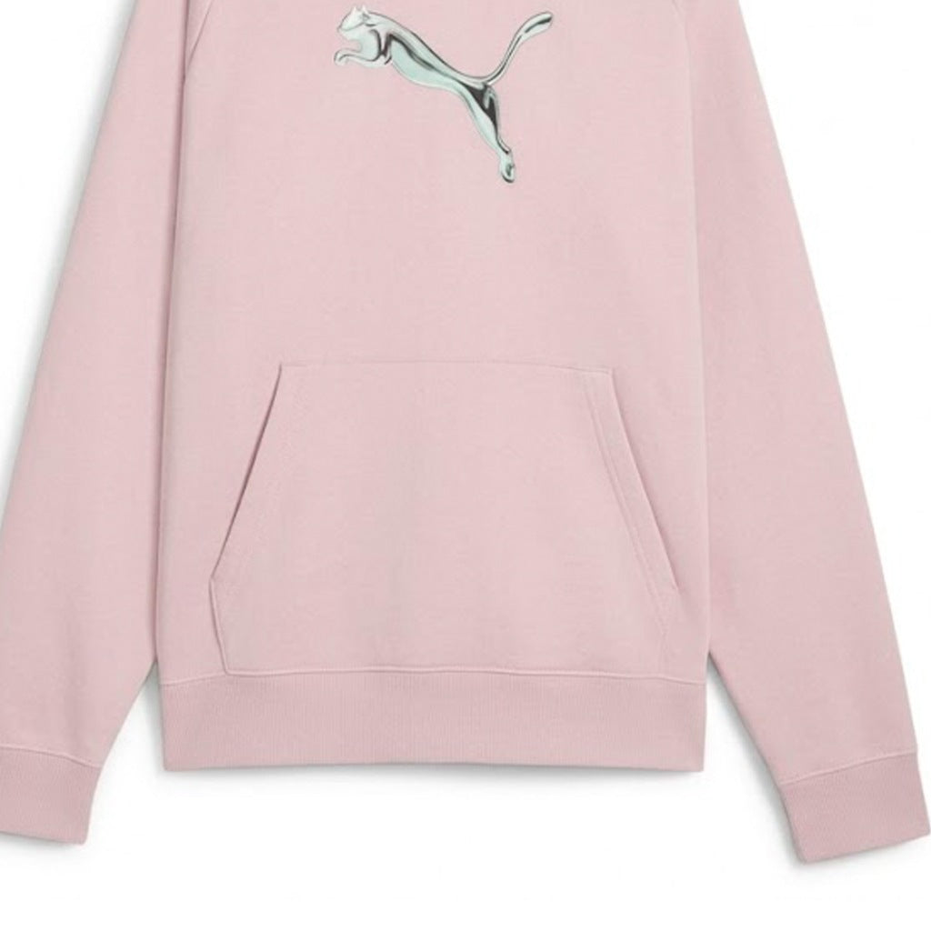 PUMA STANDARD HOODIE en color (6)