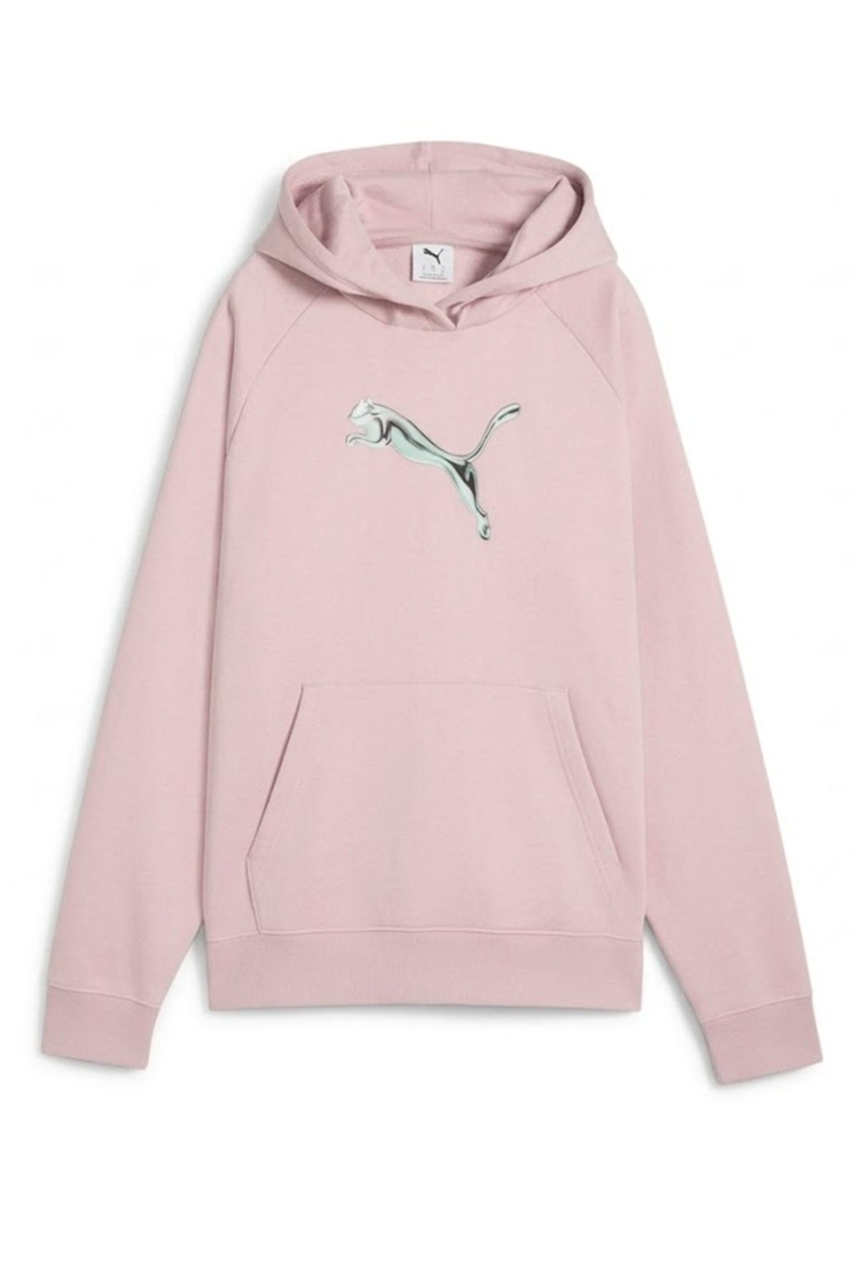PUMA STANDARD HOODIE en color (1)