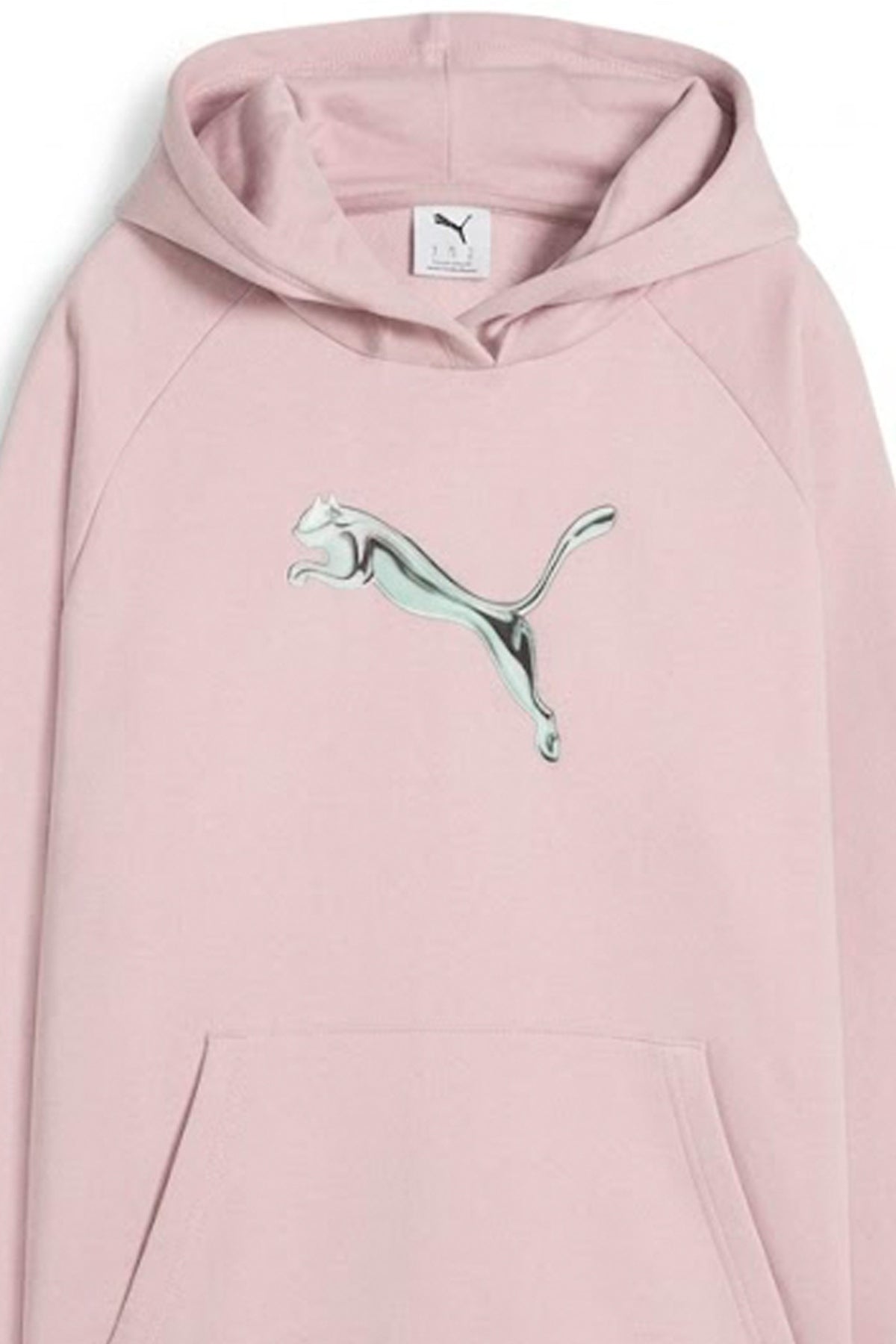 PUMA STANDARD HOODIE en color (2)