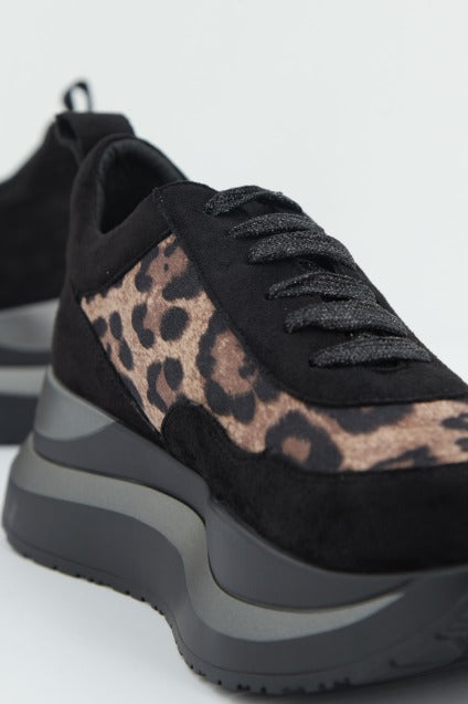 CAFENOIR DC en color ANIMAL PRINT (2)