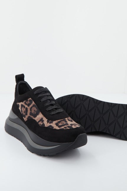 CAFENOIR DC en color ANIMAL PRINT (3)