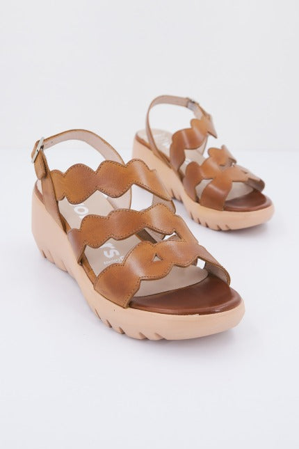 WONDERS D en color MARRON (2)