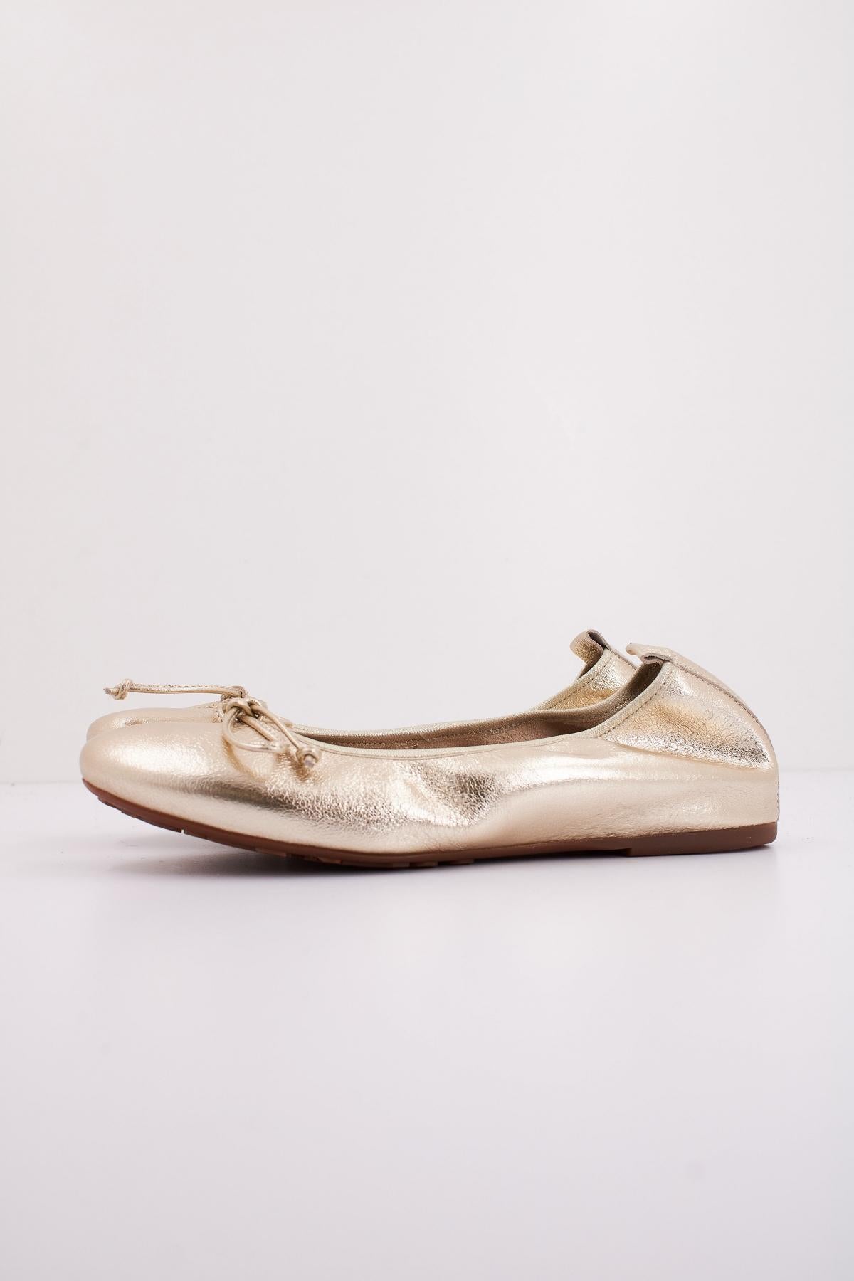 WONDERS A en color ORO (1)