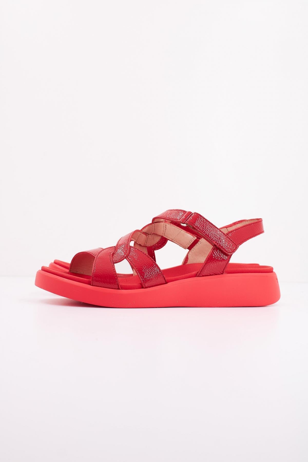 WONDERS C en color ROJO (1)