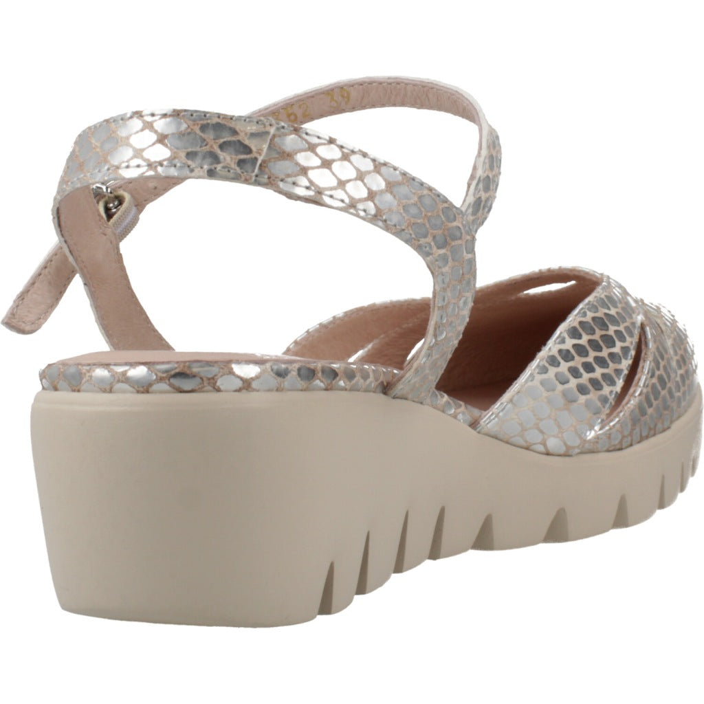 WONDERS C en color PLATA (3)