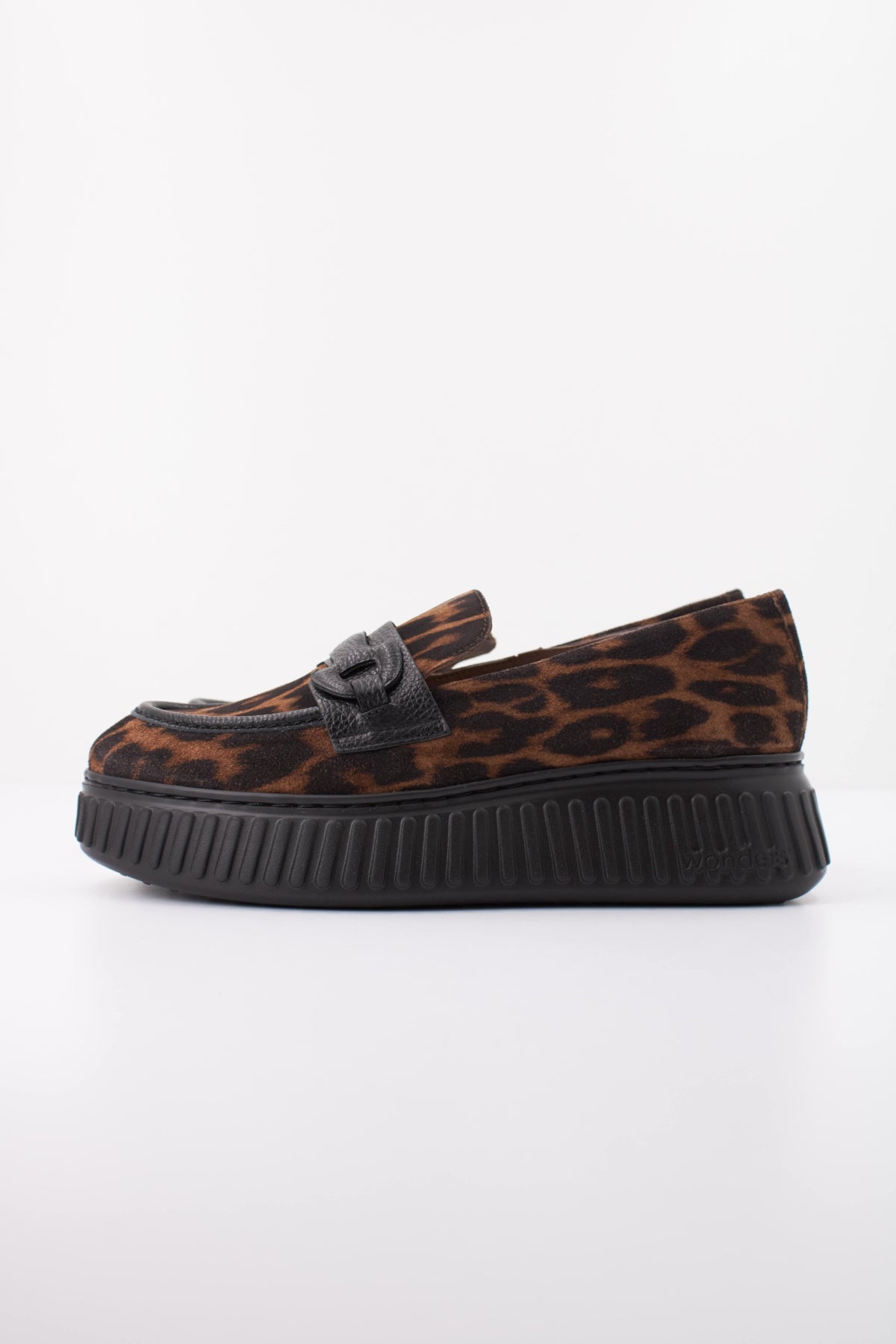 WONDERS A ZANZIBAR WILD en color ANIMAL PRINT (1)