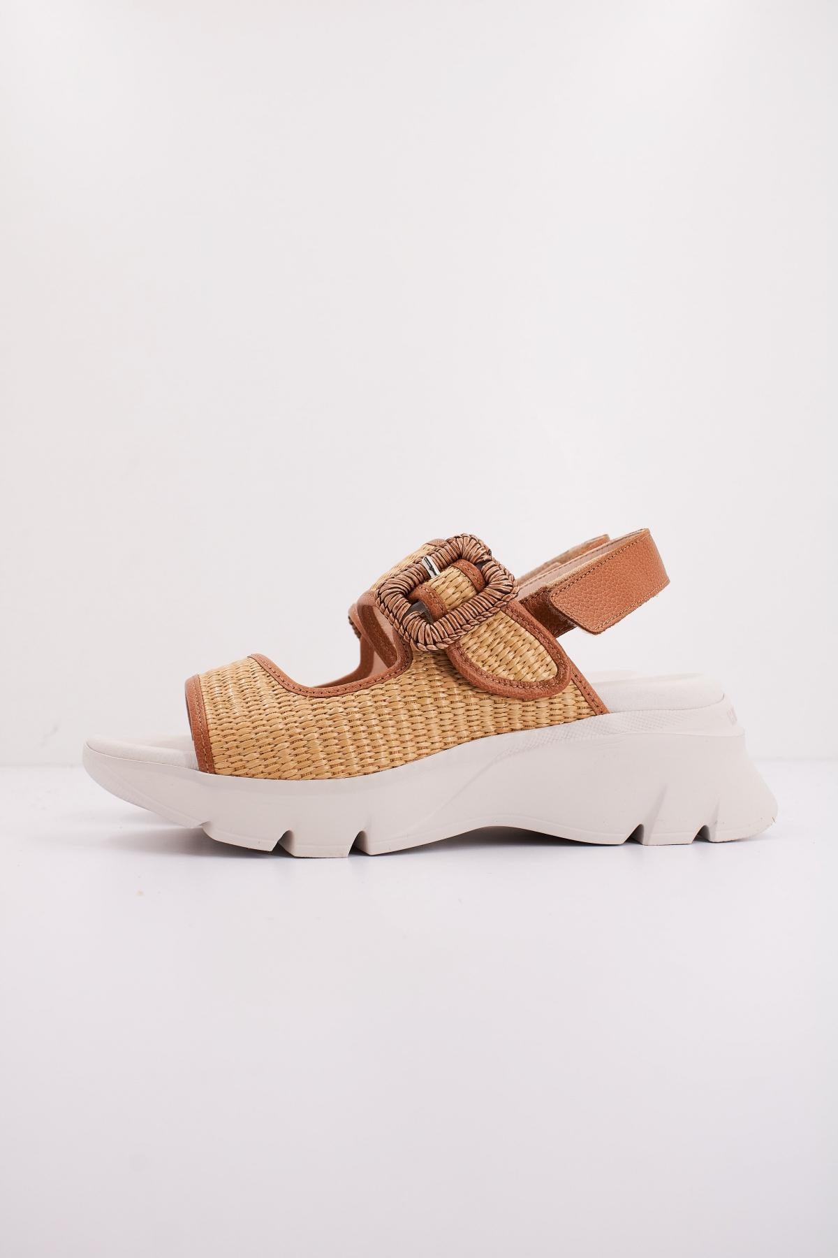 HISPANITAS RHV en color MARRON (1)