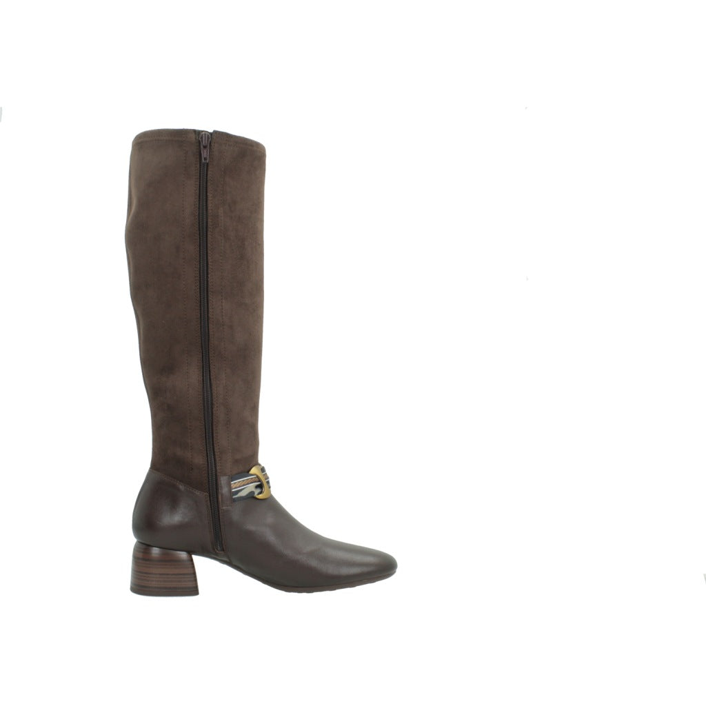 HISPANITAS HI VARSOVIA en color MARRON (4)
