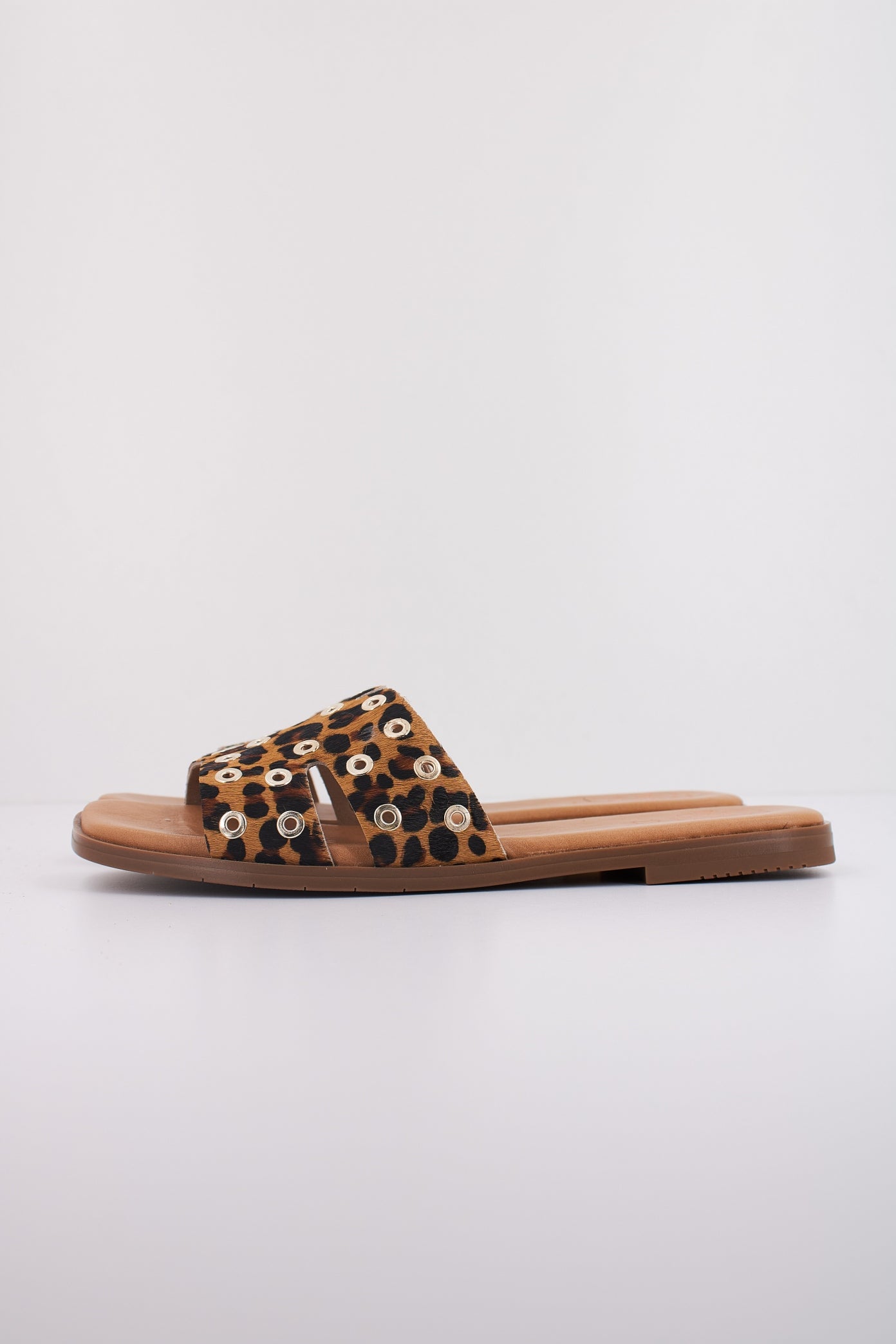 PORRONET P en color ANIMAL PRINT (1)