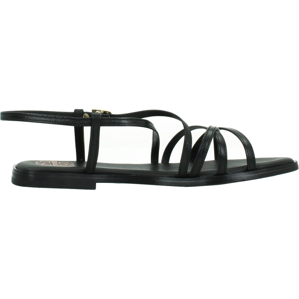 PORRONET PLATA . en color NEGRO (4)