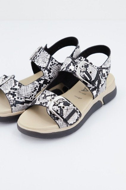 GADEA CARA en color ANIMAL PRINT (1)
