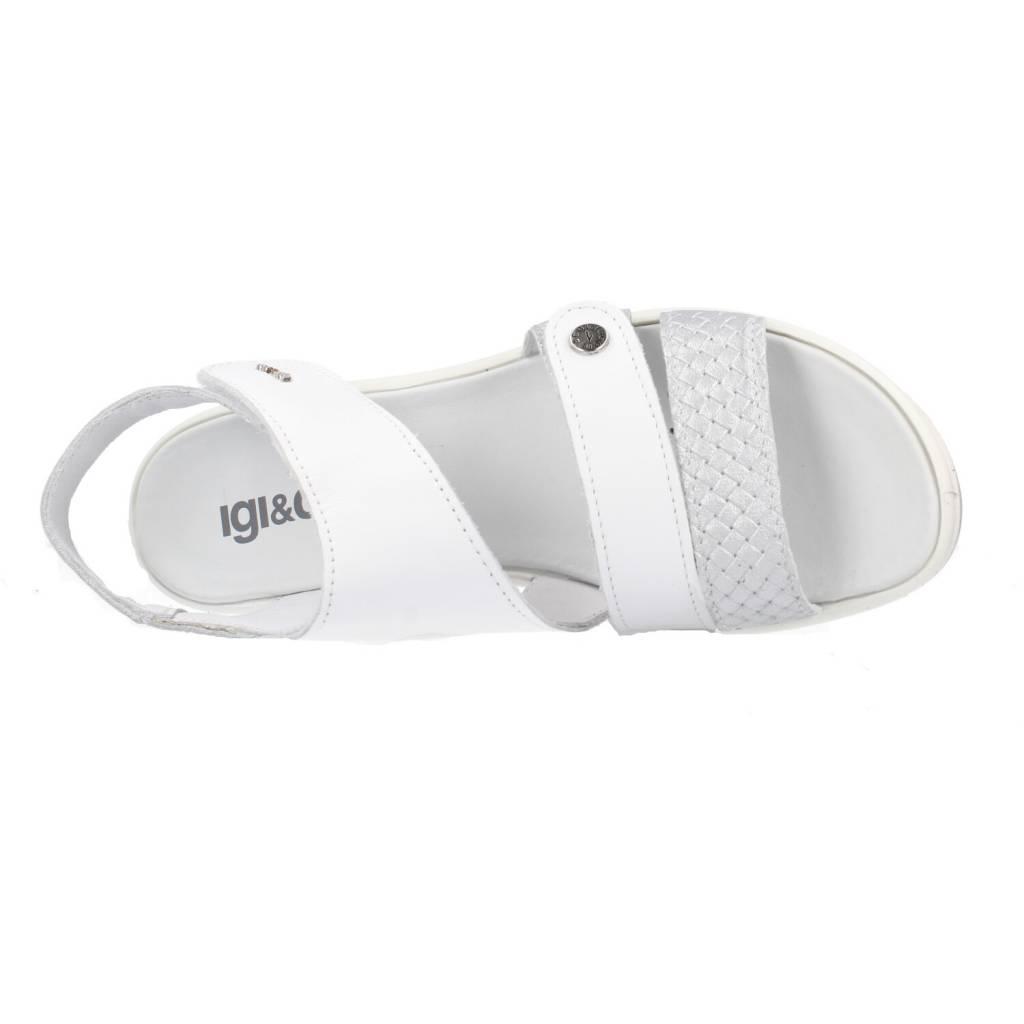 IGI&CO en color BLANCO (7)