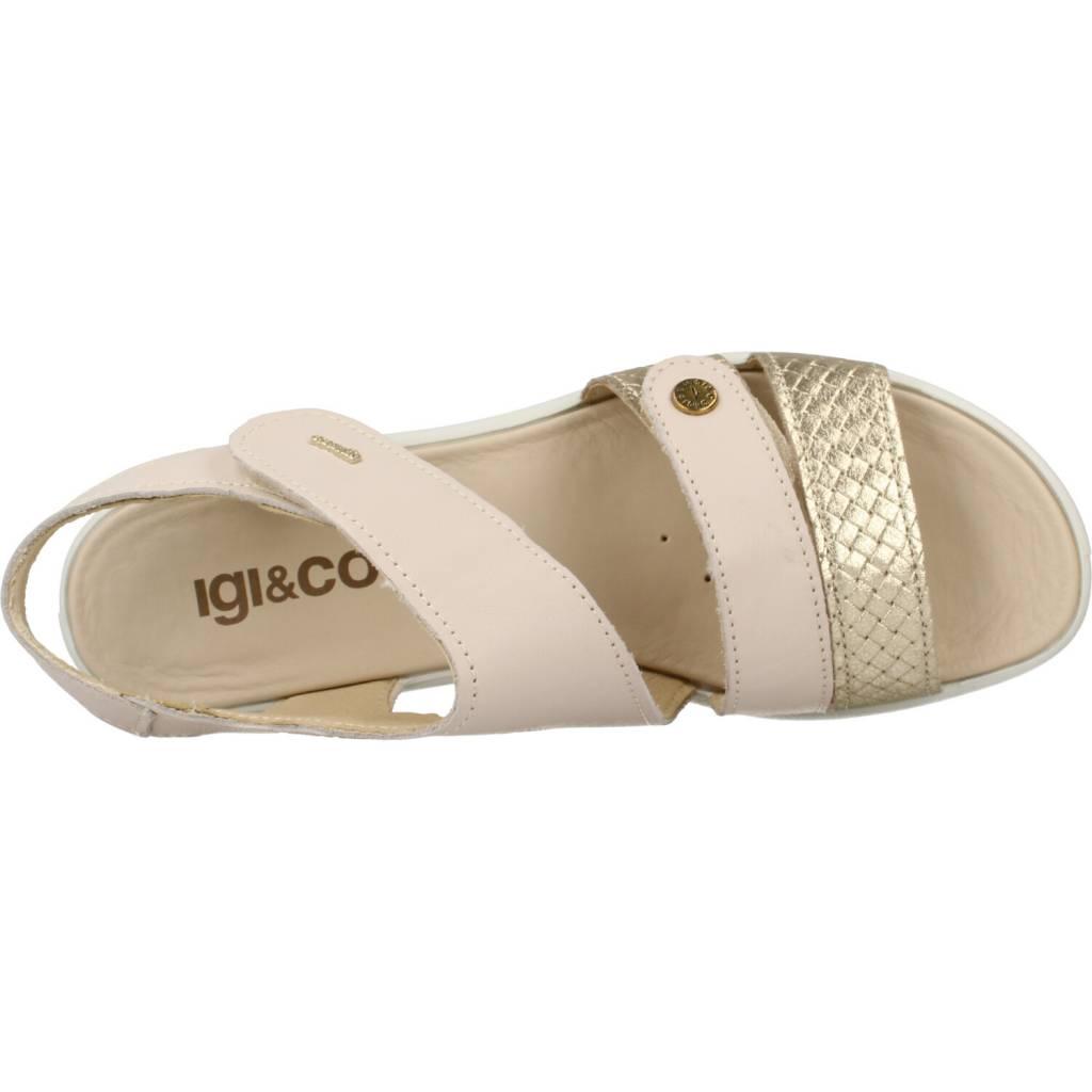 IGI&CO en color BEIS (7)