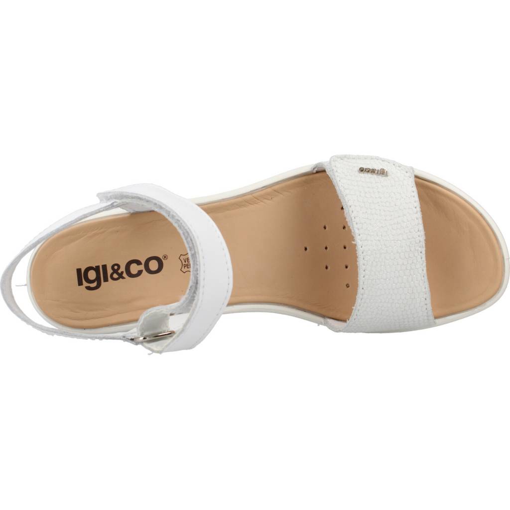 IGI&CO en color BLANCO (7)