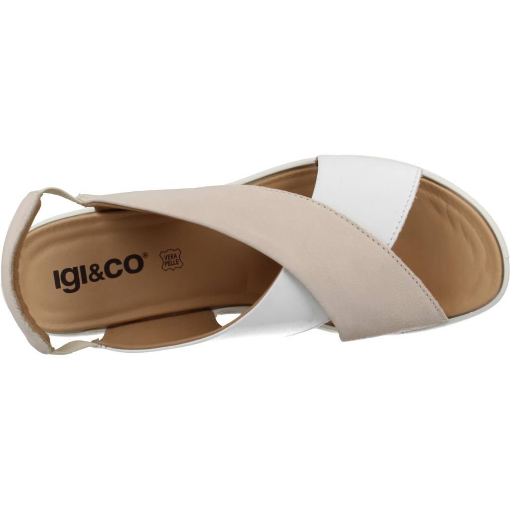 IGI&CO en color BEIS (7)