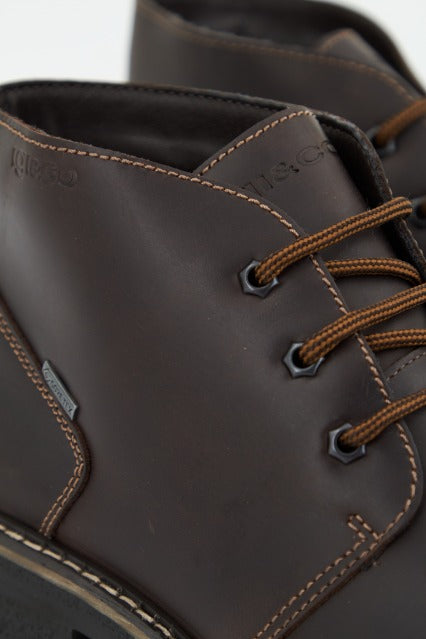 IGI&CO UOMO FREDDY GTX en color MARRON (4)