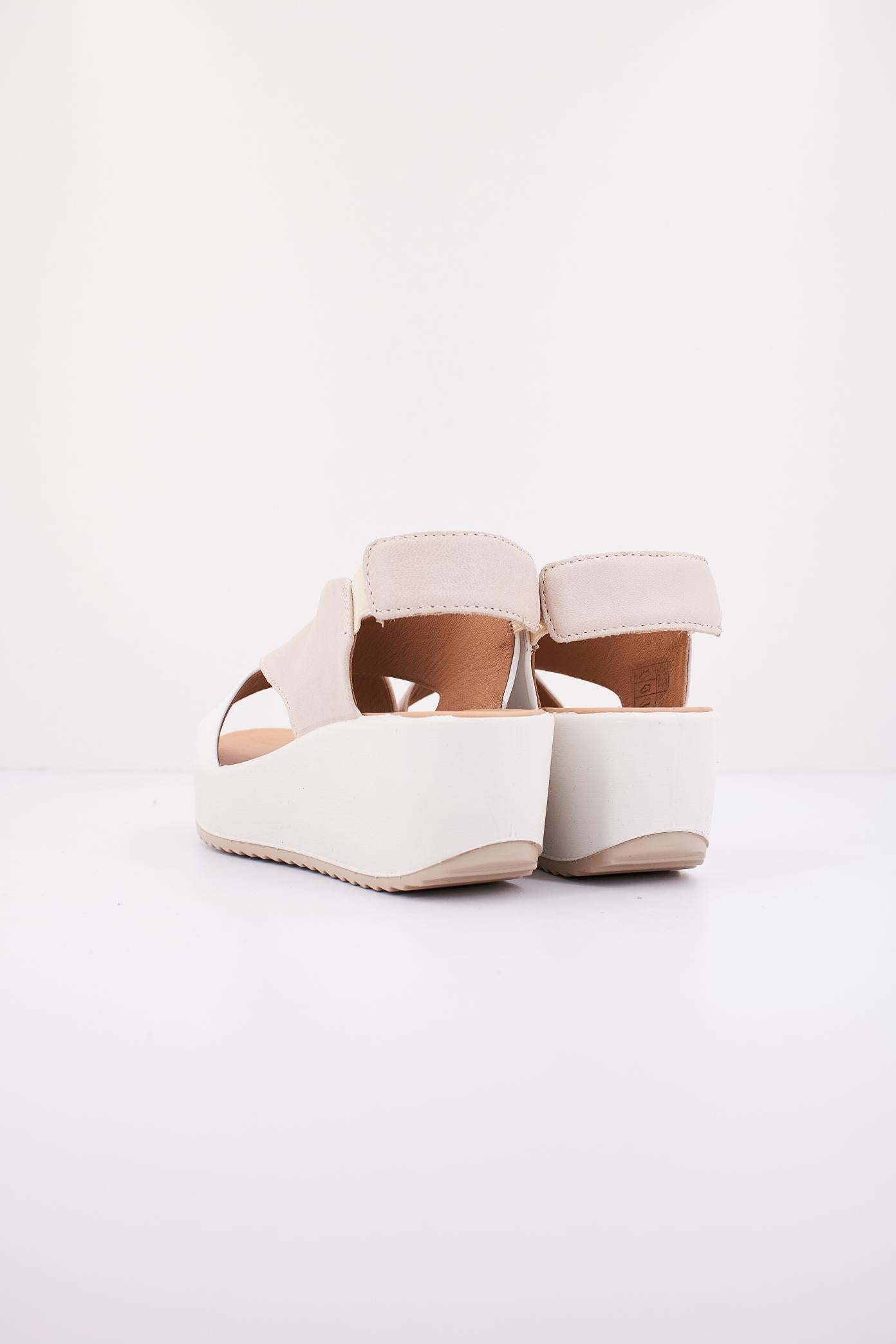 IGI&CO IG en color BEIS (3)