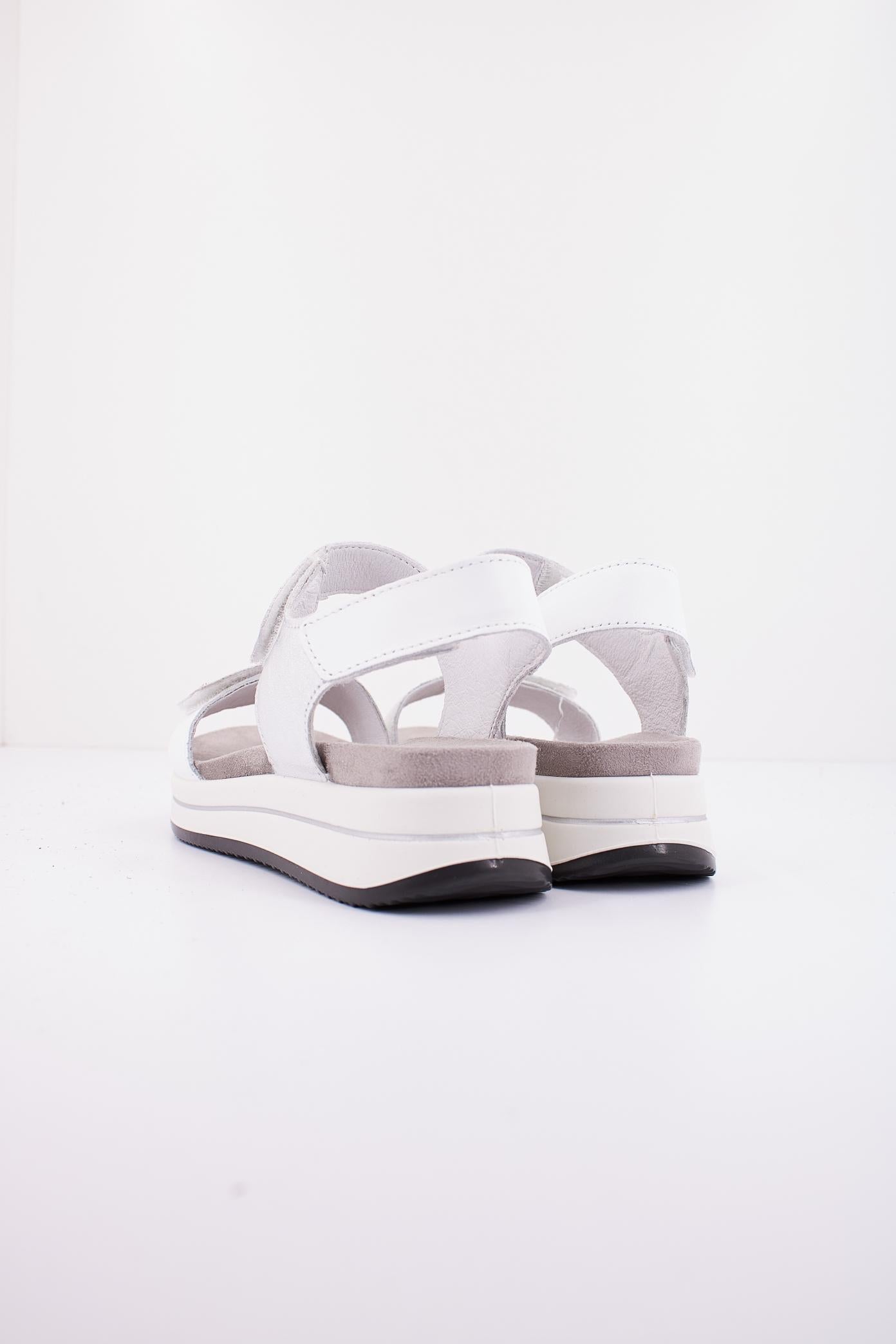 IGI&CO IG en color BLANCO (3)