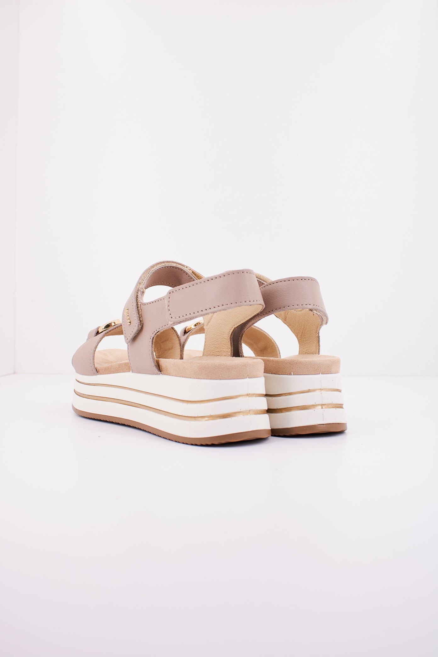 IGI&CO IG en color BEIS (3)