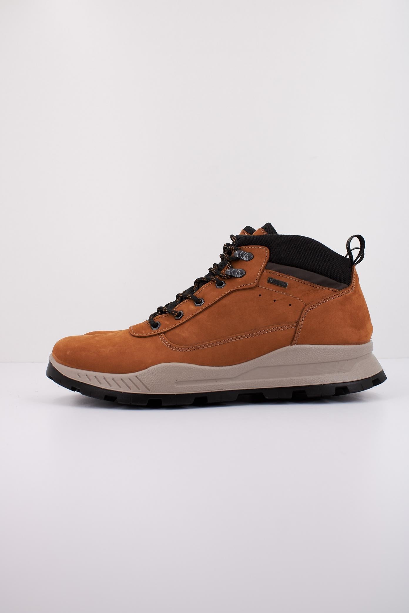 IGI&CO IG en color MARRON (1)