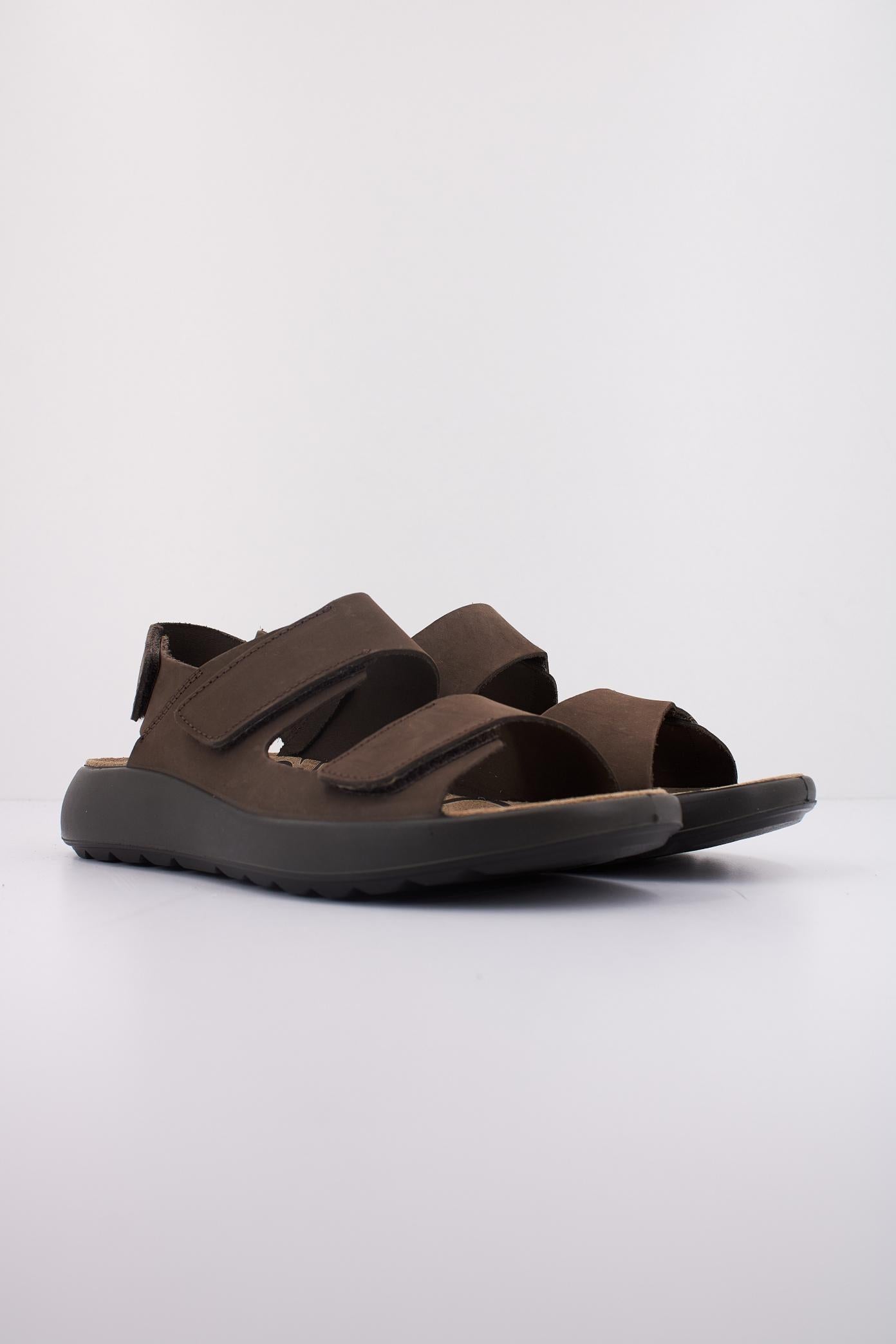 IGI&CO U PALMER en color MARRON (2)