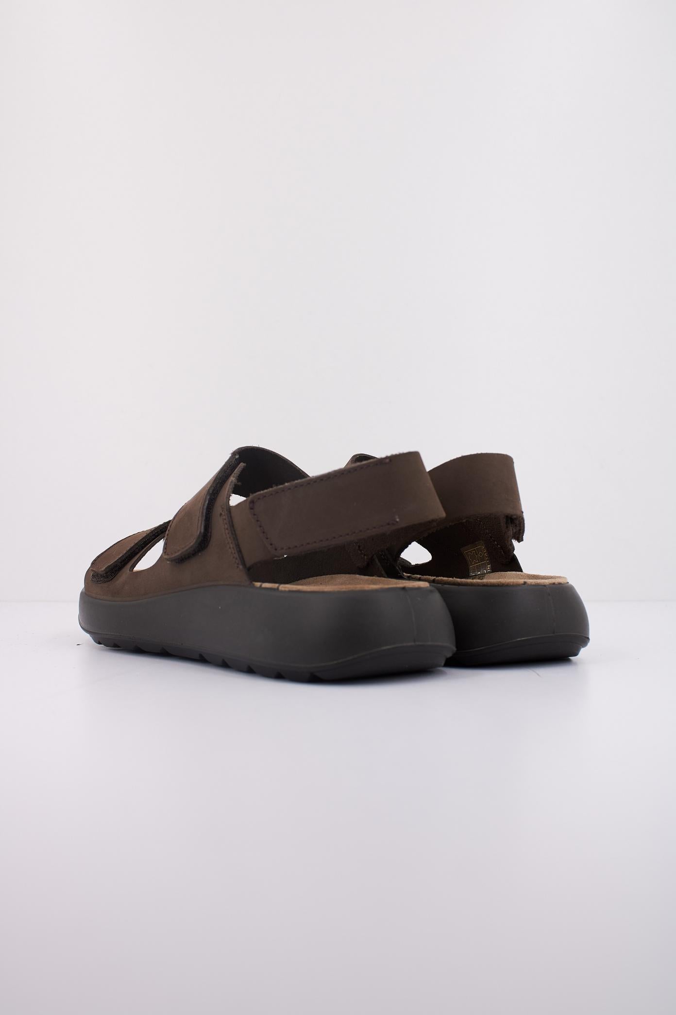 IGI&CO U PALMER en color MARRON (4)