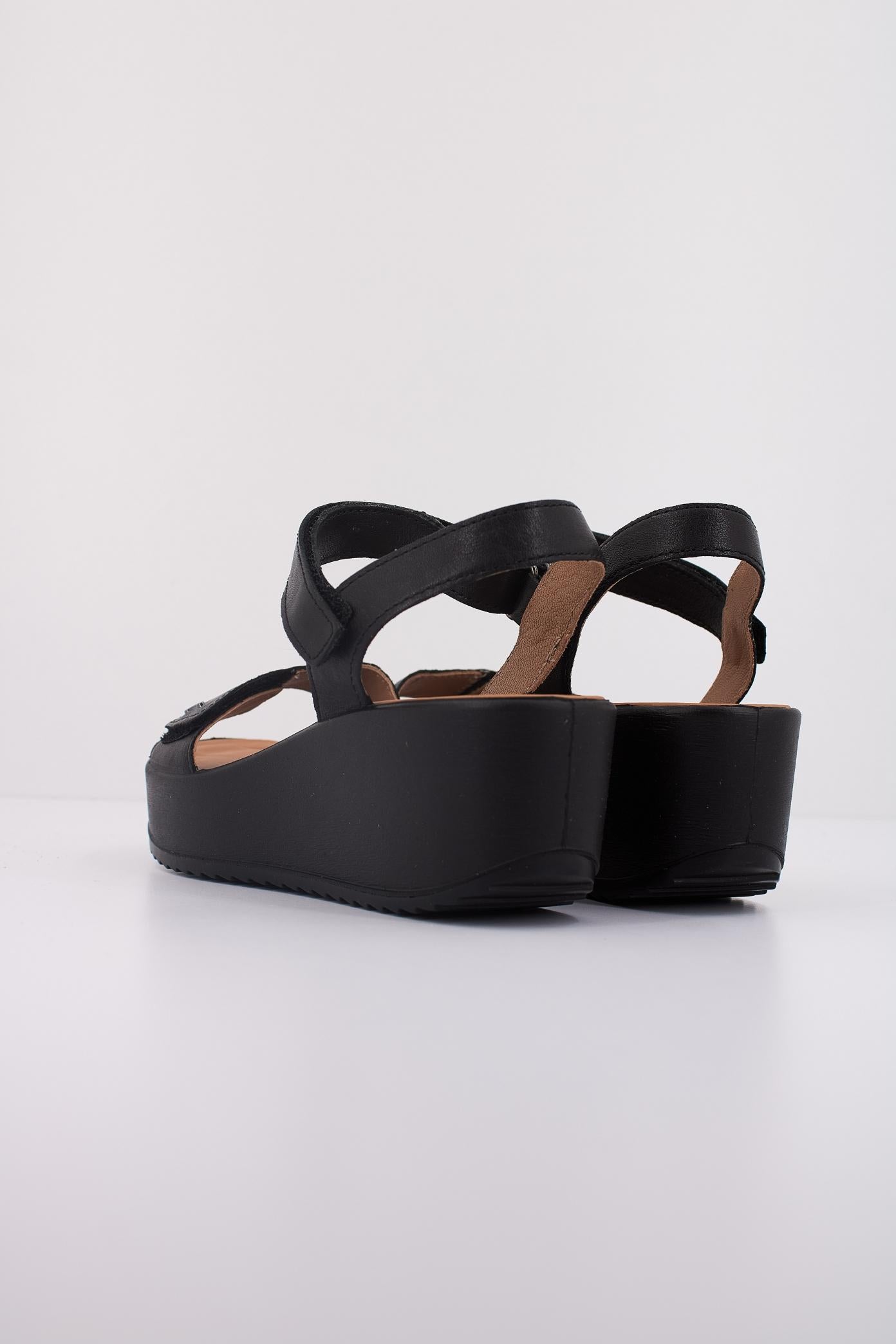 IGI&CO IG en color NEGRO (4)