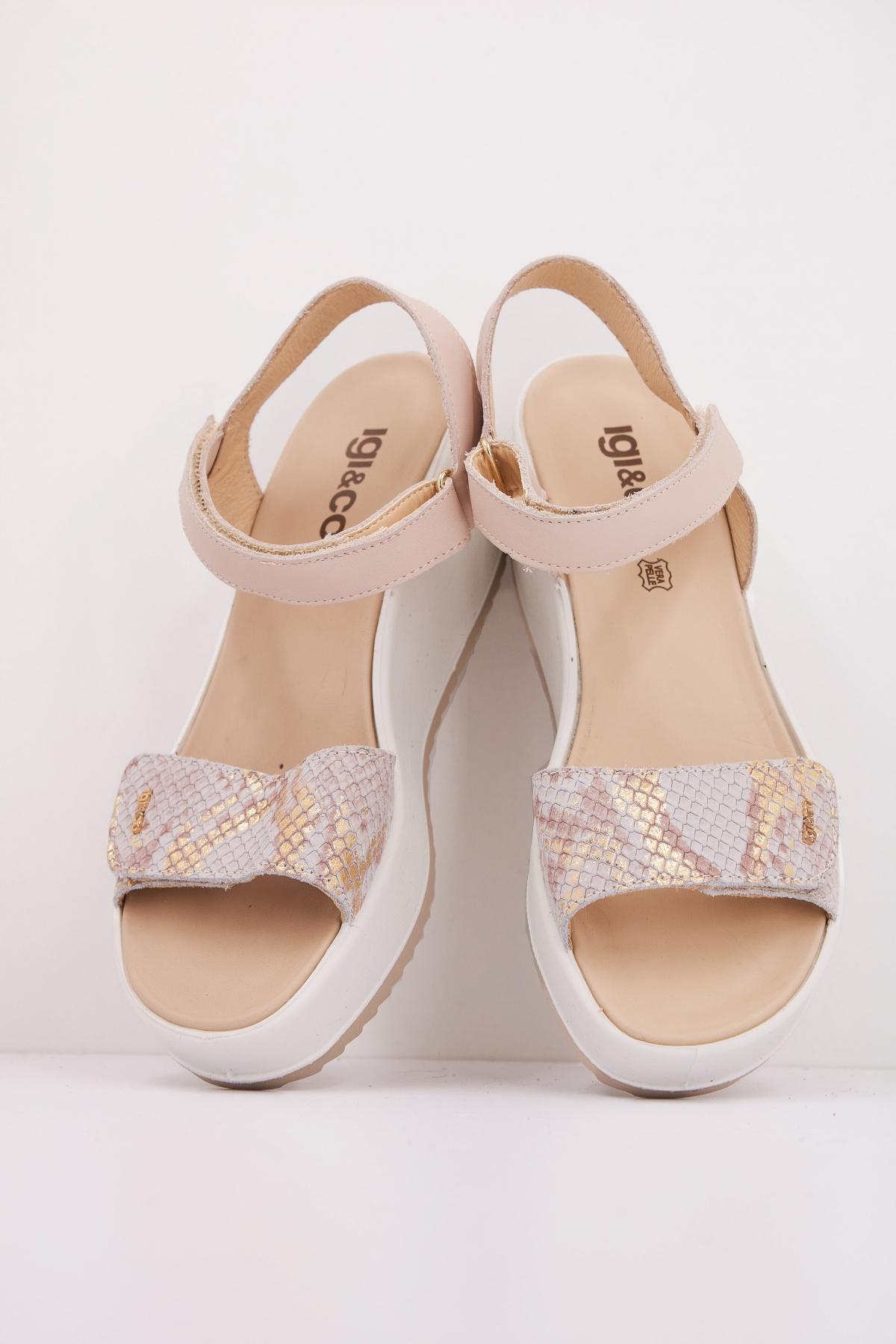 IGI&CO IG en color ANIMAL PRINT (3)
