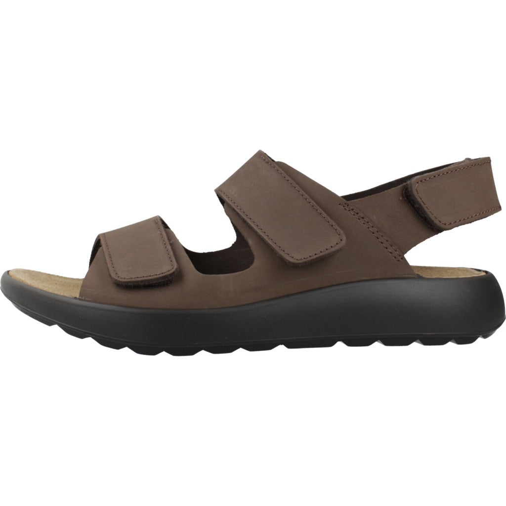 IGI&CO IG en color MARRON (2)