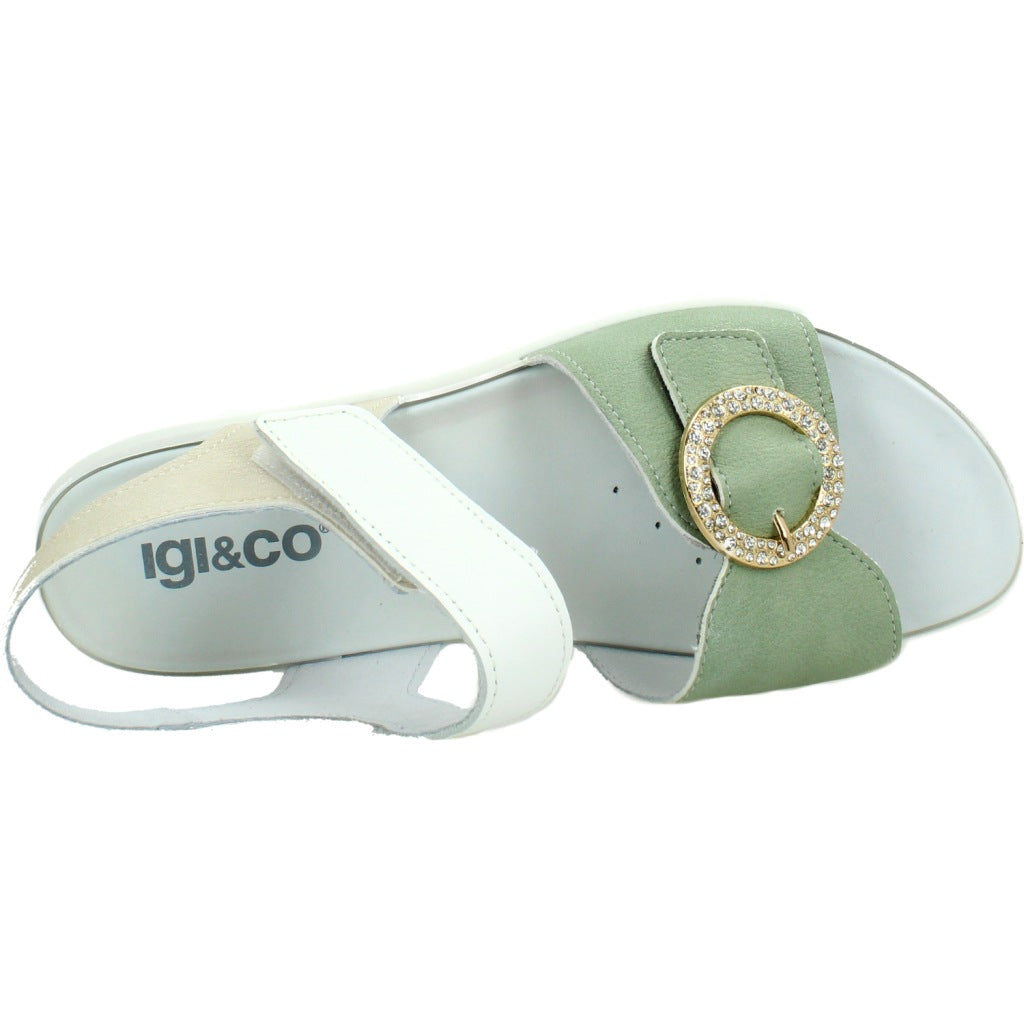 IGI&CO IG en color BLANCO (6)