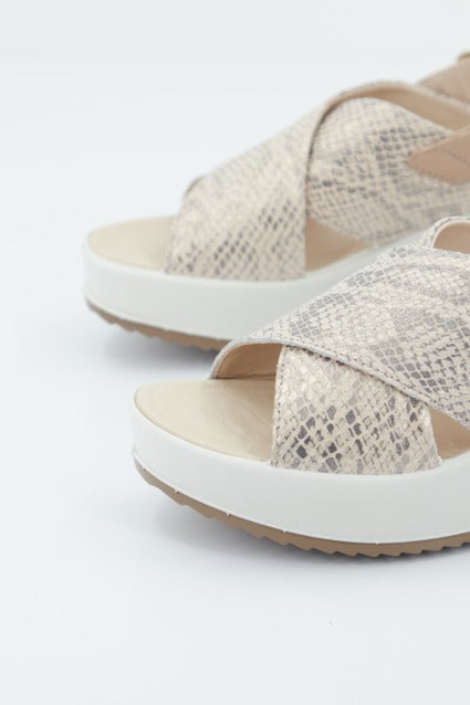 IGI&CO DONNA CANDY en color ANIMAL PRINT (2)