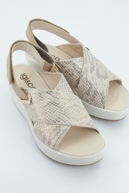 IGI&CO DONNA CANDY en color ANIMAL PRINT (4)
