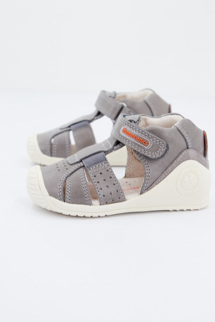 BIOMECANICS en color GRIS (1)