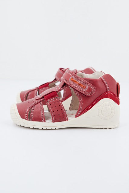 BIOMECANICS en color ROJO (2)