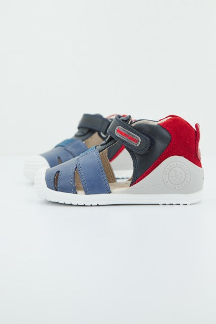 BIOMECANICS en color AZUL (2)