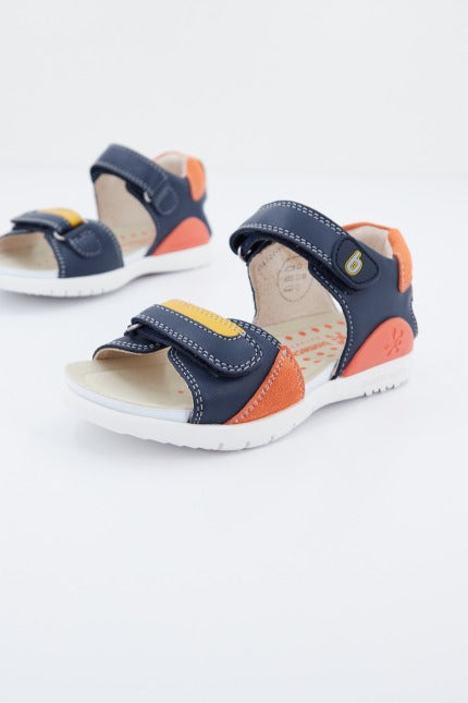 BIOMECANICS en color AZUL (2)