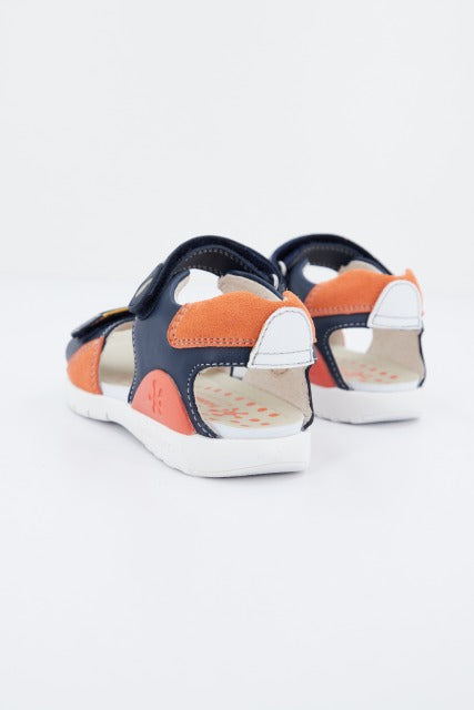 BIOMECANICS en color AZUL (3)