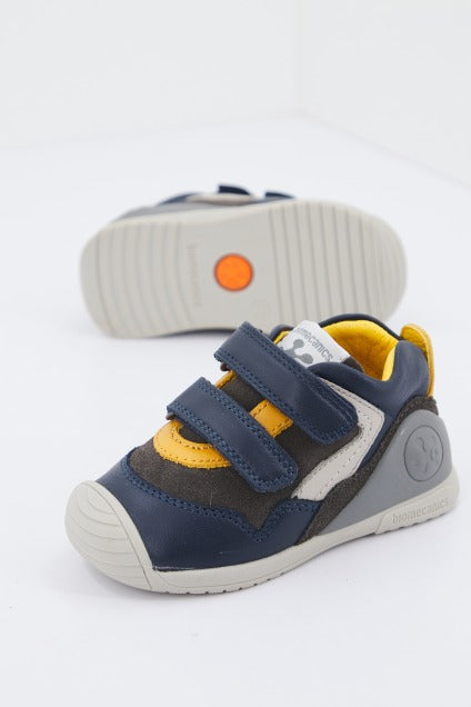 BIOMECANICS B en color AZUL (1)