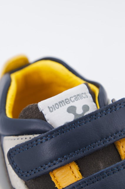 BIOMECANICS B en color AZUL (4)