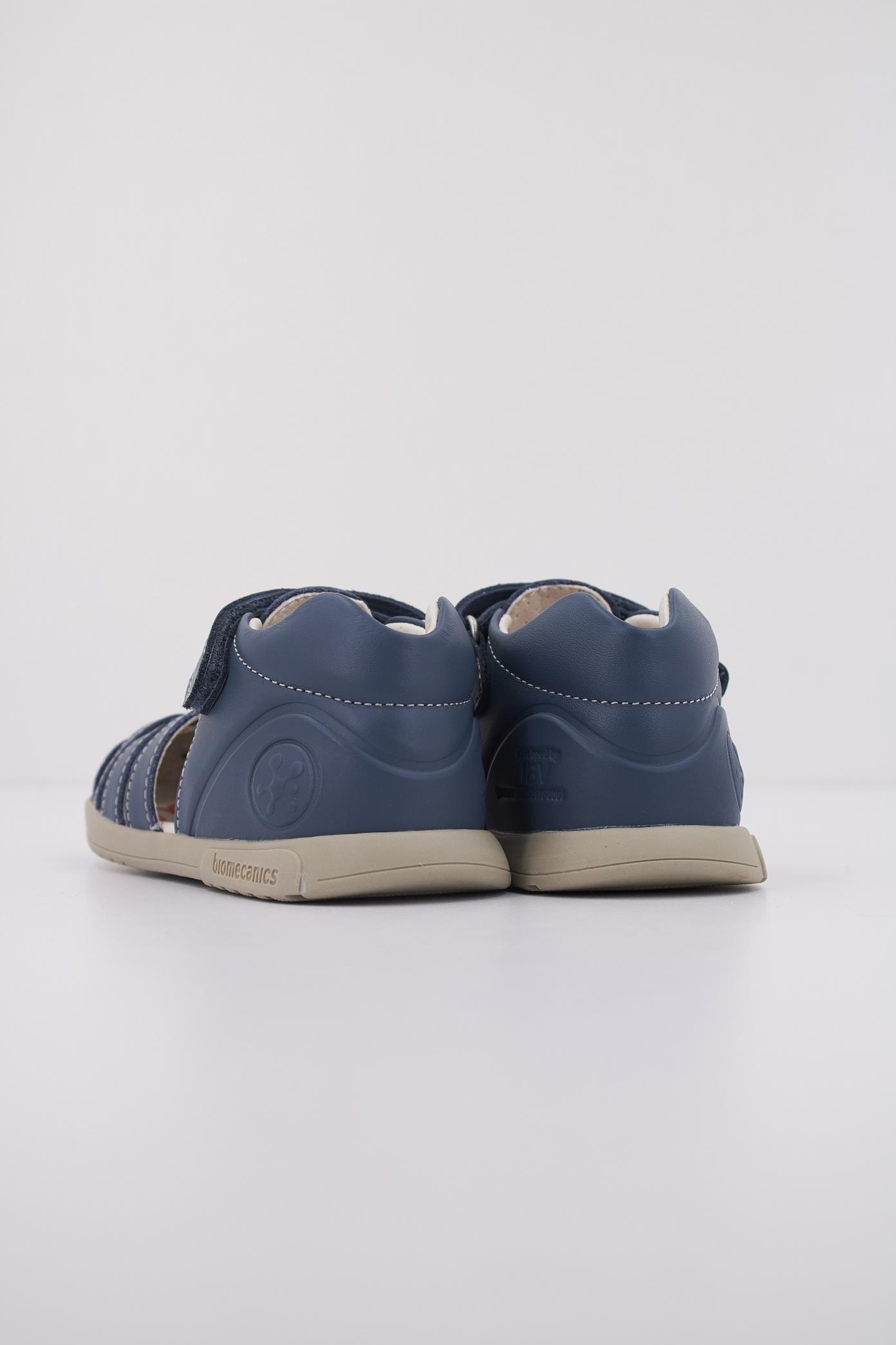 BIOMECANICS B en color AZUL (4)
