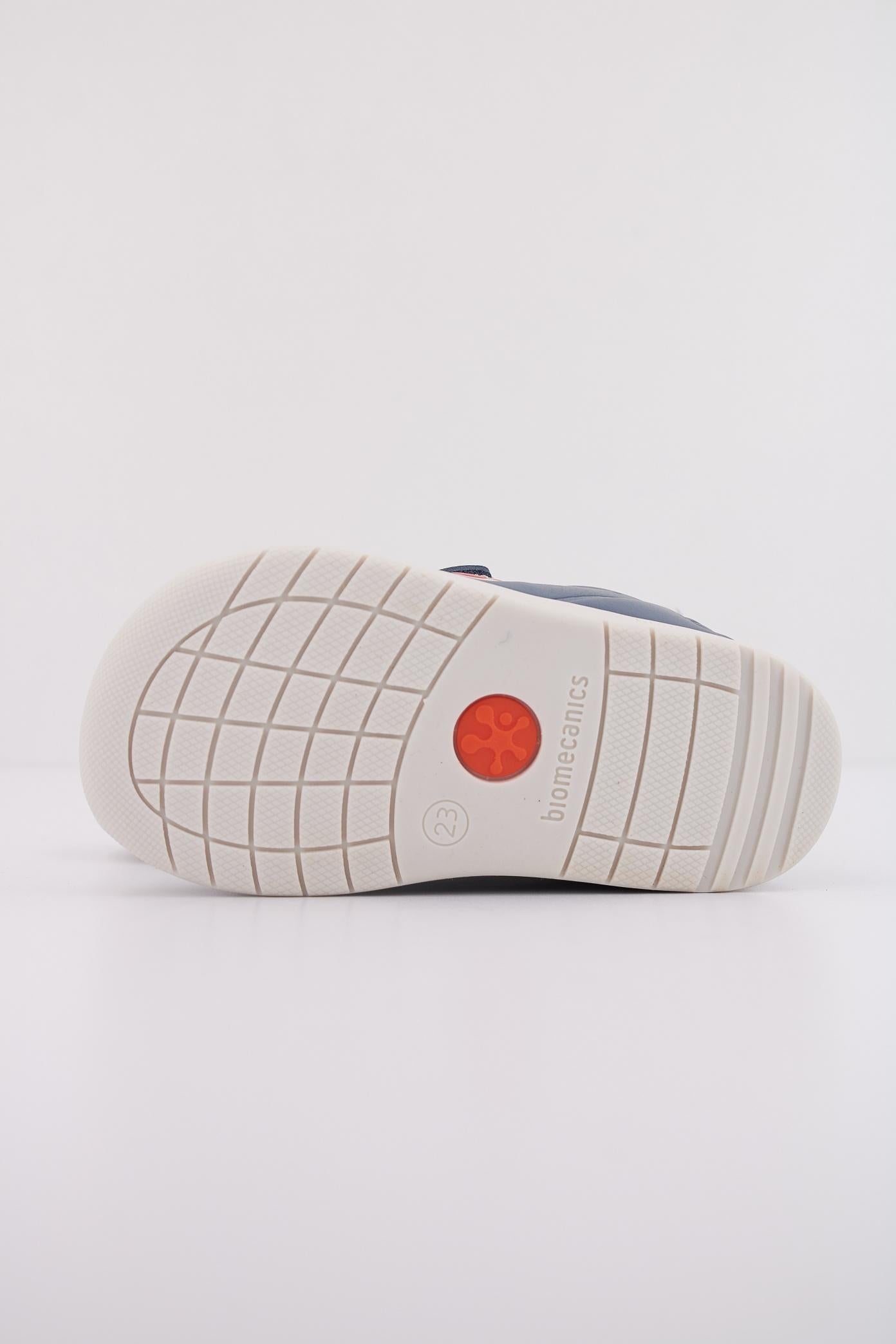 BIOMECANICS B en color AZUL (5)