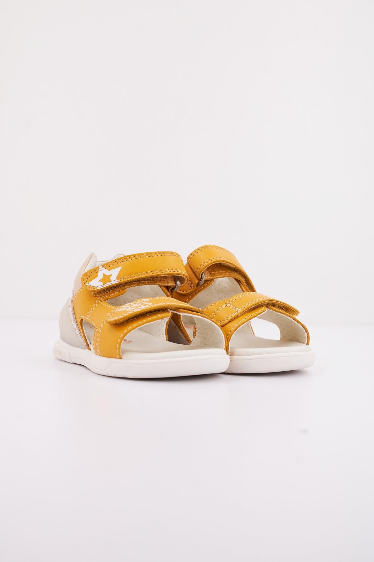 BIOMECANICS B en color AMARILLO (2)