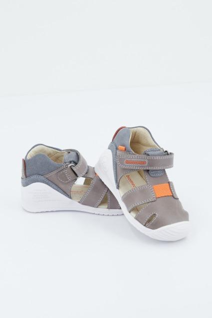 BIOMECANICS en color GRIS (1)