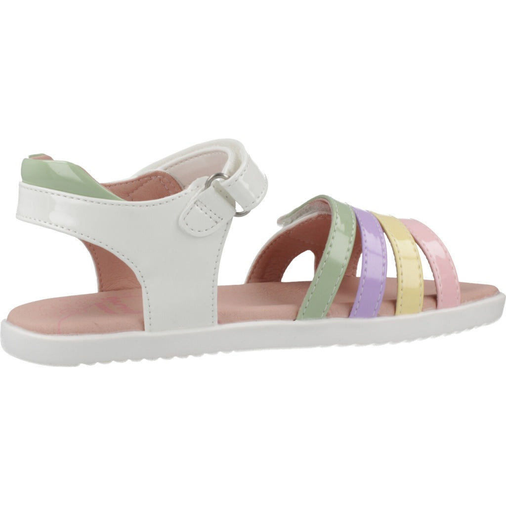 GARVALIN G en color MULTICOLOR (4)