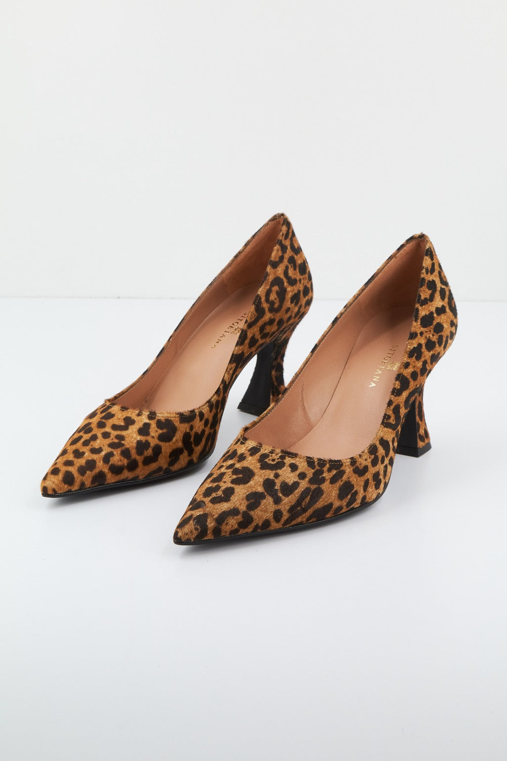 EZZIO E en color ANIMAL PRINT (1)
