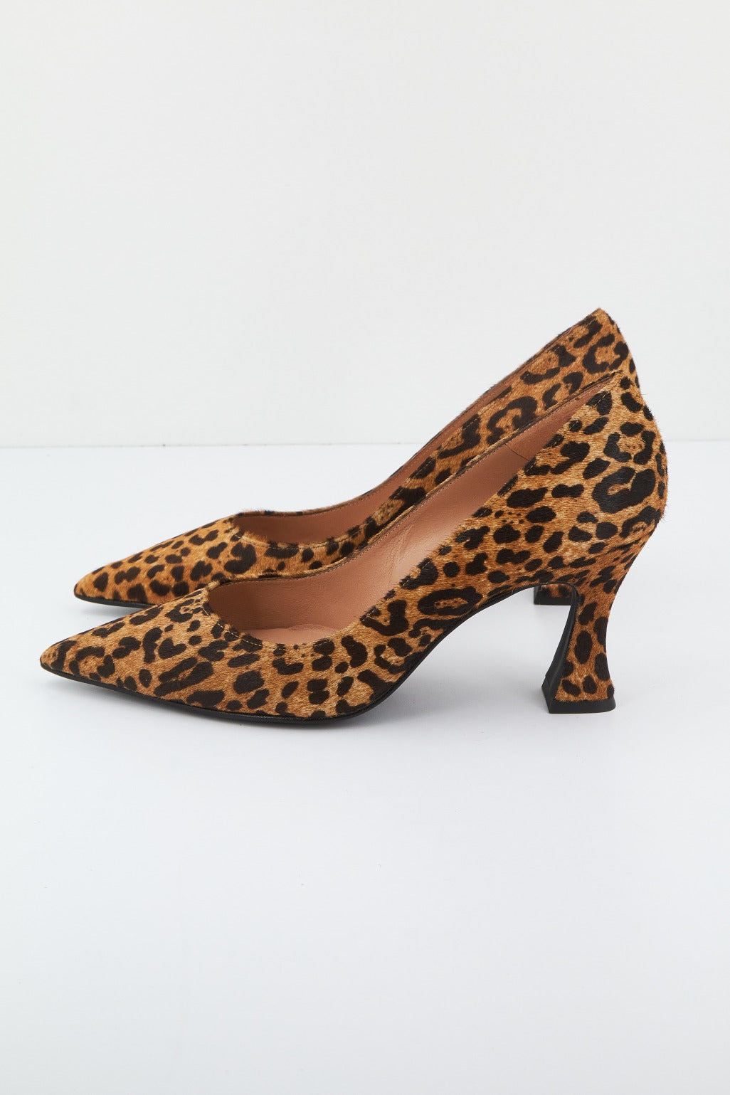 EZZIO E en color ANIMAL PRINT (2)
