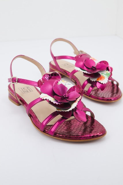 JONI J en color ROSA (1)