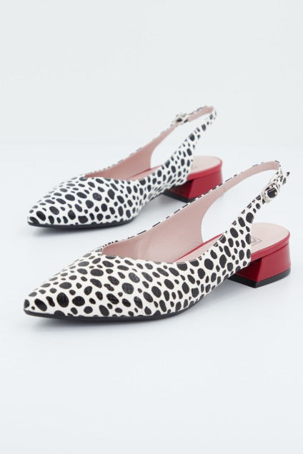 JONI J en color ANIMAL PRINT (1)
