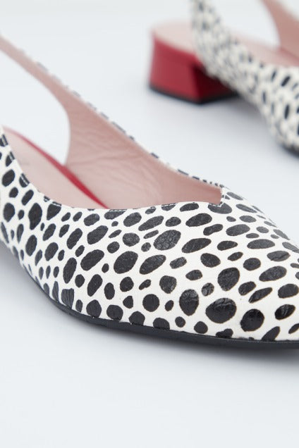 JONI J en color ANIMAL PRINT (2)