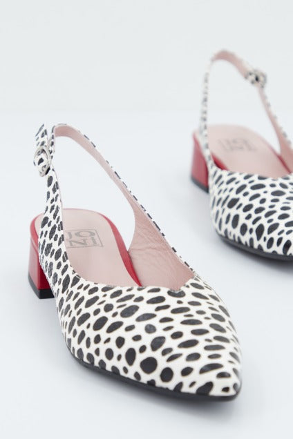 JONI J en color ANIMAL PRINT (4)